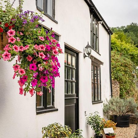 Woodview - Cosy 1840S Cottage In Chew Valley And Mendip Aonb Compton Martin ภายนอก รูปภาพ