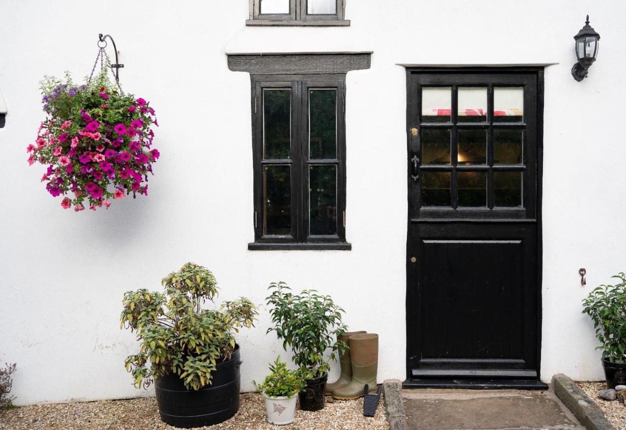 Woodview - Cosy 1840S Cottage In Chew Valley And Mendip Aonb Compton Martin ภายนอก รูปภาพ