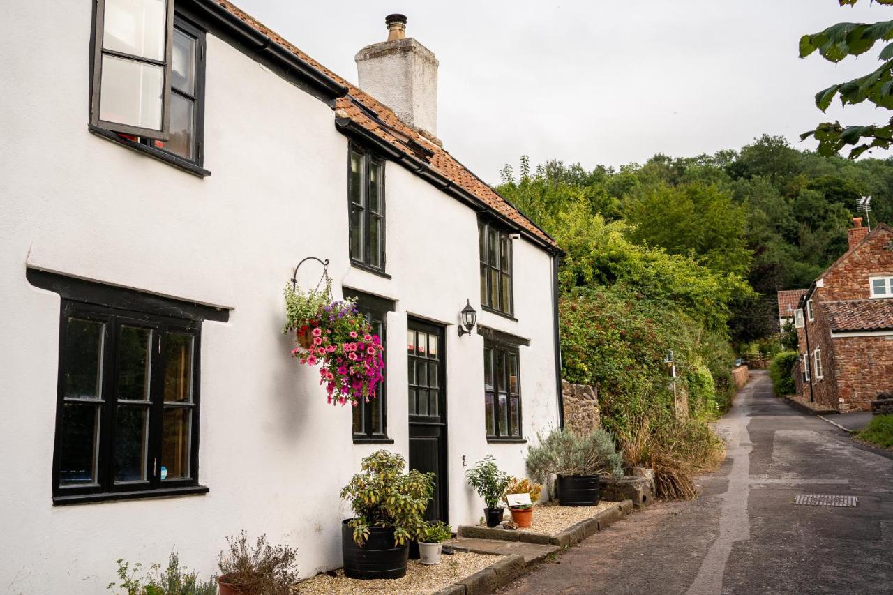 Woodview - Cosy 1840S Cottage In Chew Valley And Mendip Aonb Compton Martin ภายนอก รูปภาพ