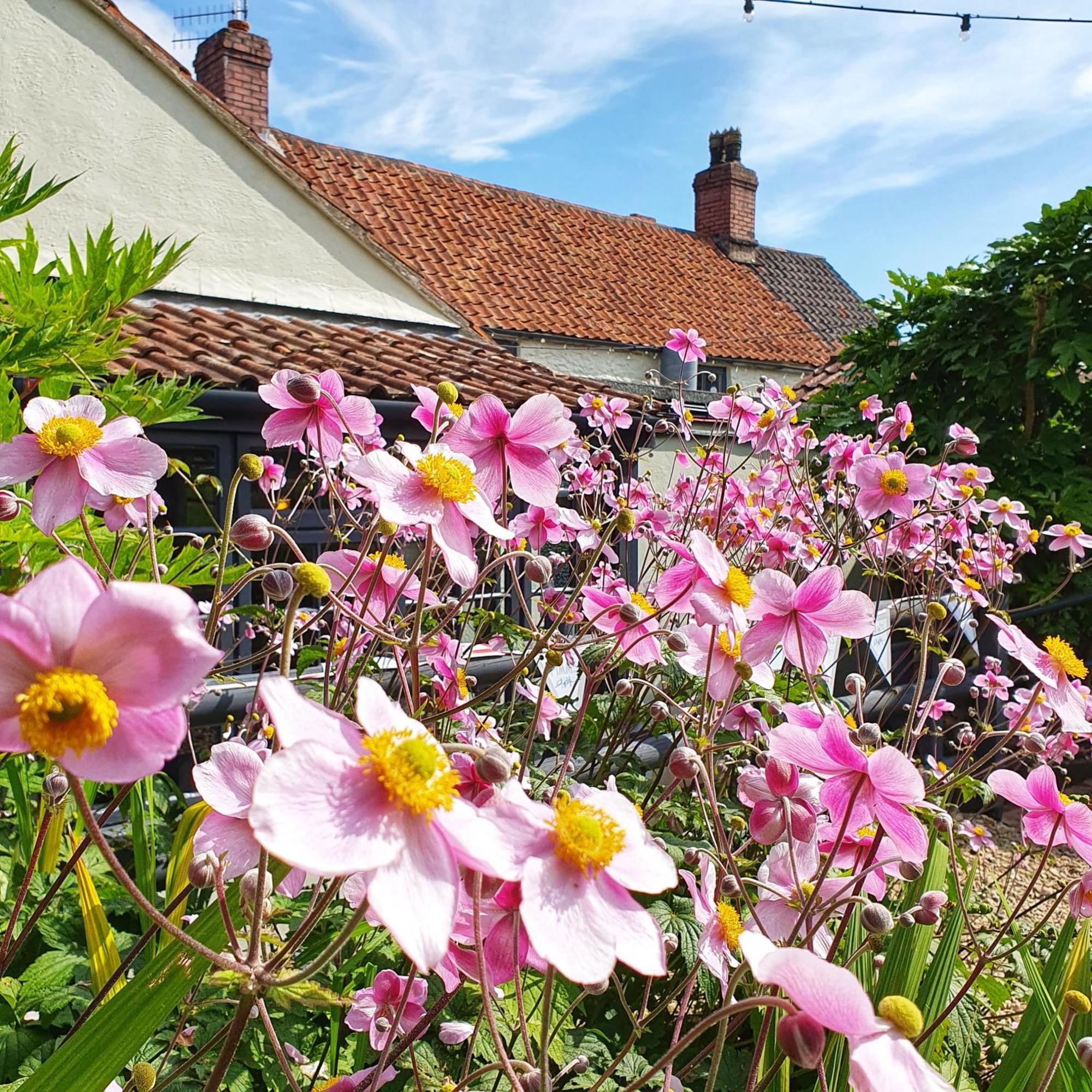 Woodview - Cosy 1840S Cottage In Chew Valley And Mendip Aonb Compton Martin ภายนอก รูปภาพ